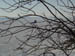 P2060007
