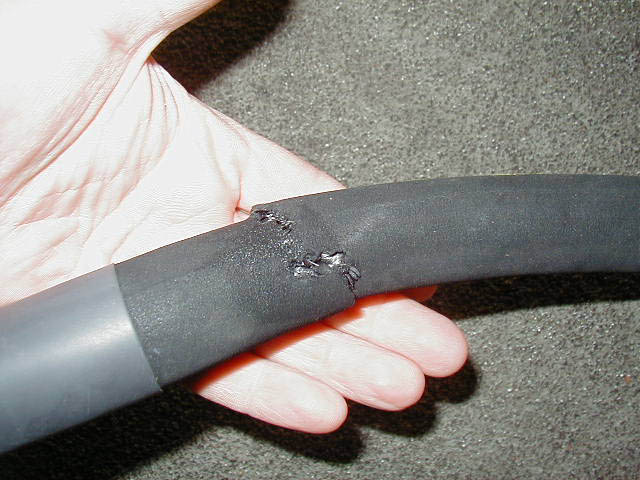P4100006