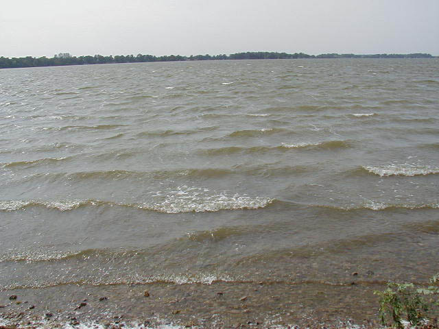 P9090023