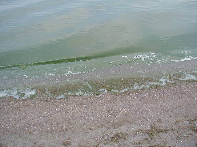 P8220006