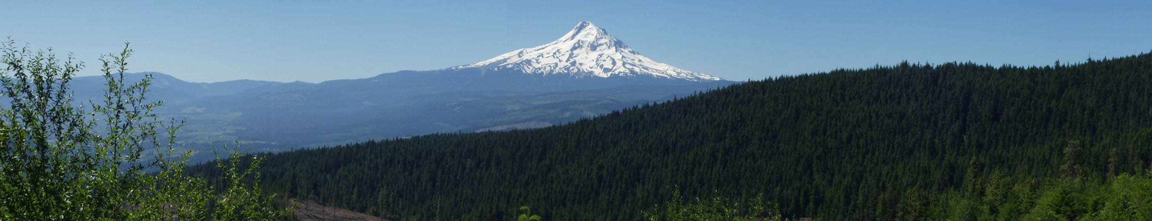 mthood